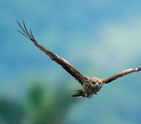 Un’esperienza di natura autentica