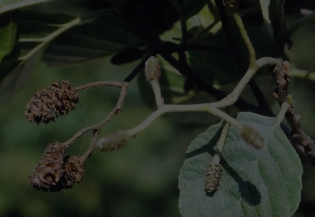 Una vita dedicata alla natura